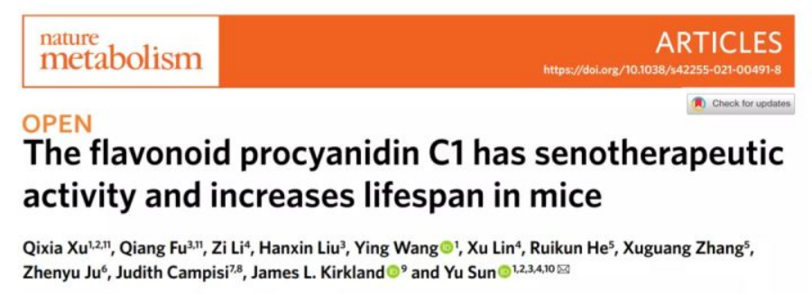 黄酮类化合物原花青素C1能够靶向衰老细胞，延长小鼠寿命